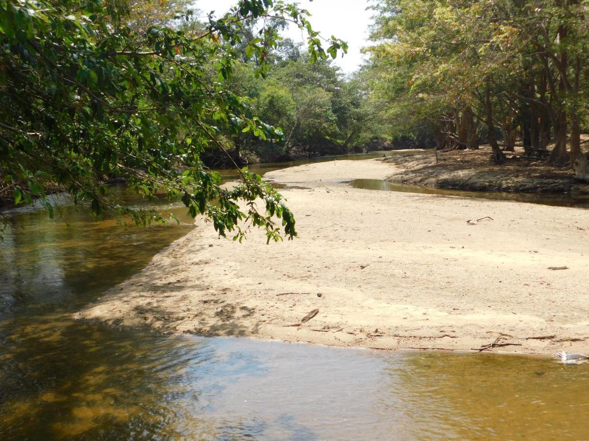 Kayjay Wild Wilpattu Hotel Екстериор снимка